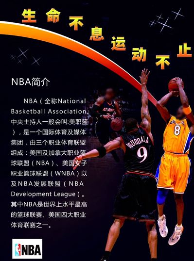 兰的表现